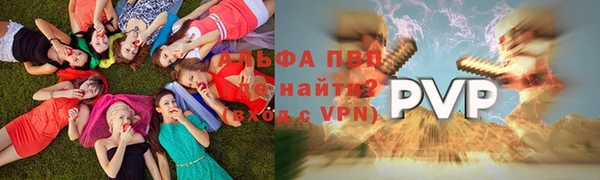 гашик Балахна