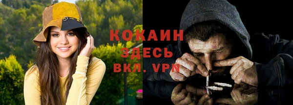 трава Арсеньев