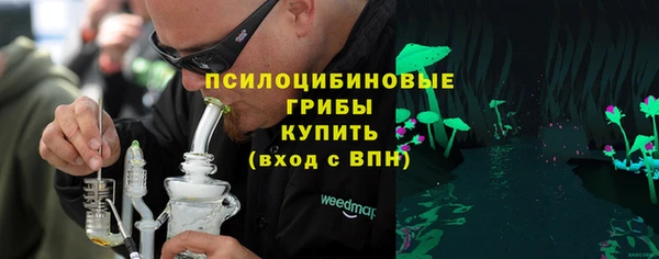 гашик Балахна