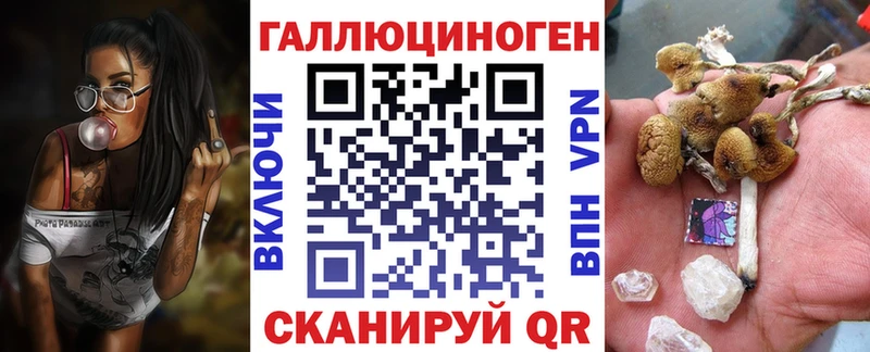 что такое   Будённовск  Галлюциногенные грибы ЛСД 